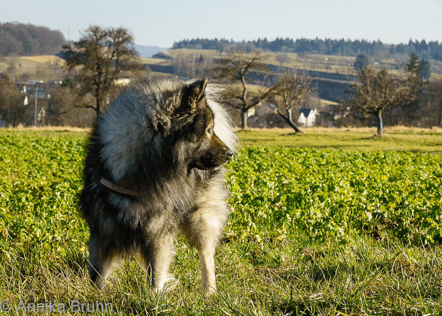 Da ist ja die Sonne